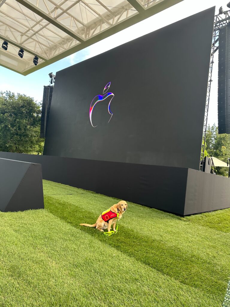We were finalists at the Apple Design Awards! We were finalists at the Apple Design Awards!
